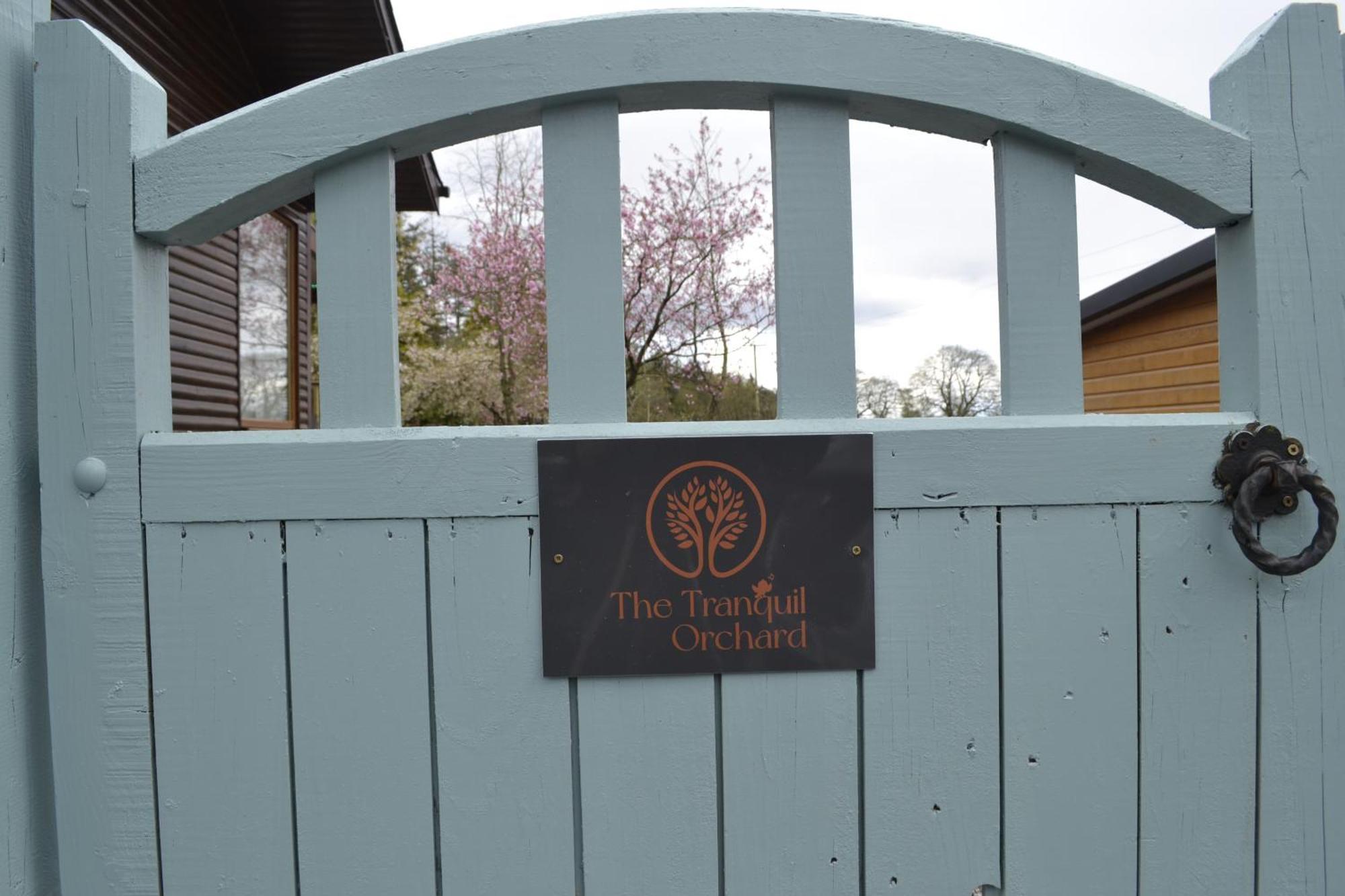 The Tranquil Orchard Villa Dumfries Bagian luar foto